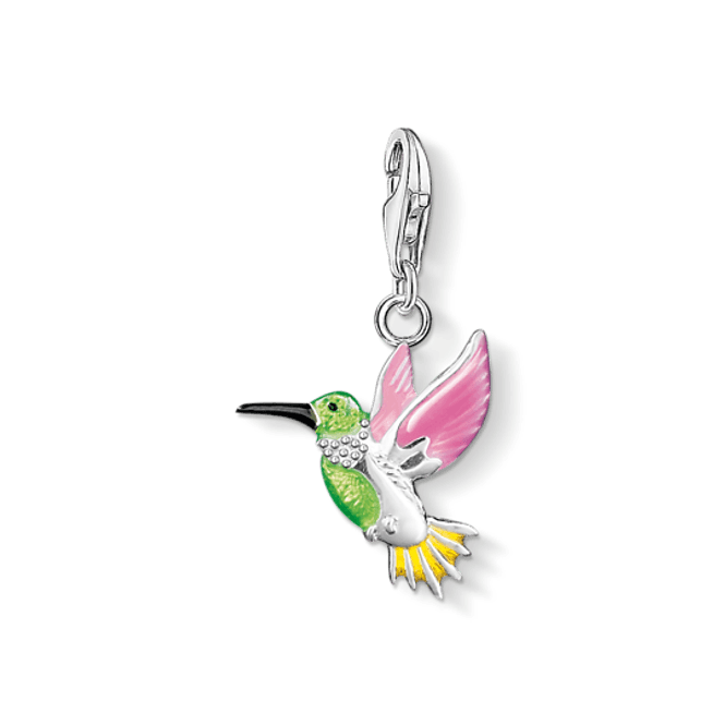 Hovedbilde THOMAS SABO charm, fargerik kolibri